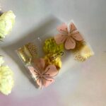 ถุงคุกกี้ ลายดอกบ๊วย